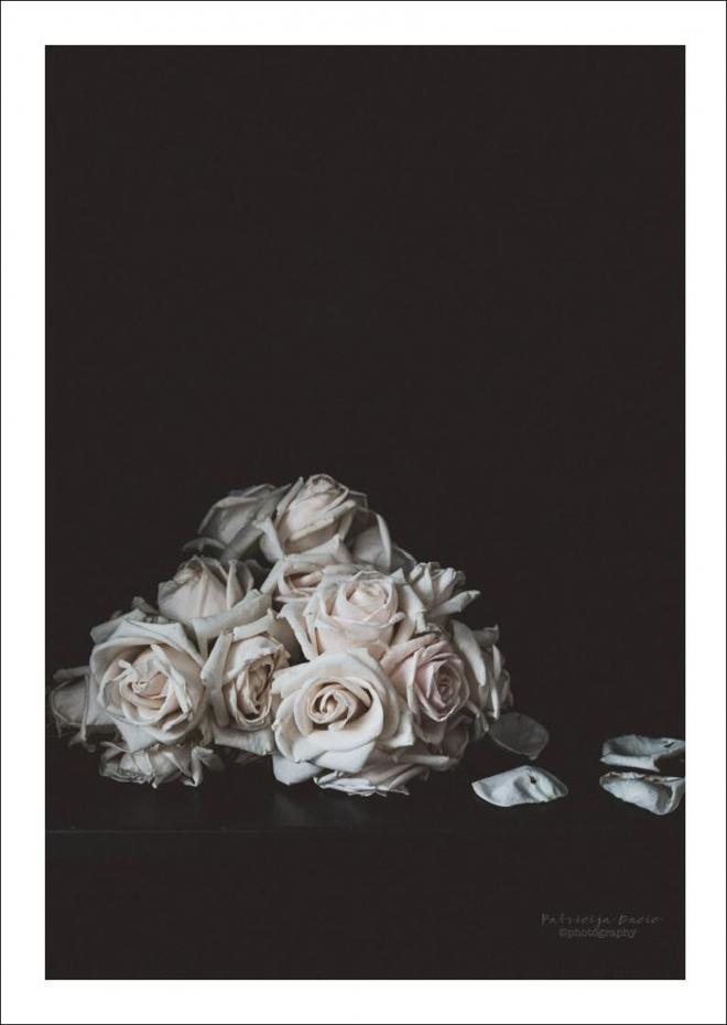 Estancia Patricija Dacic - Faded Roses - 50x70 cm