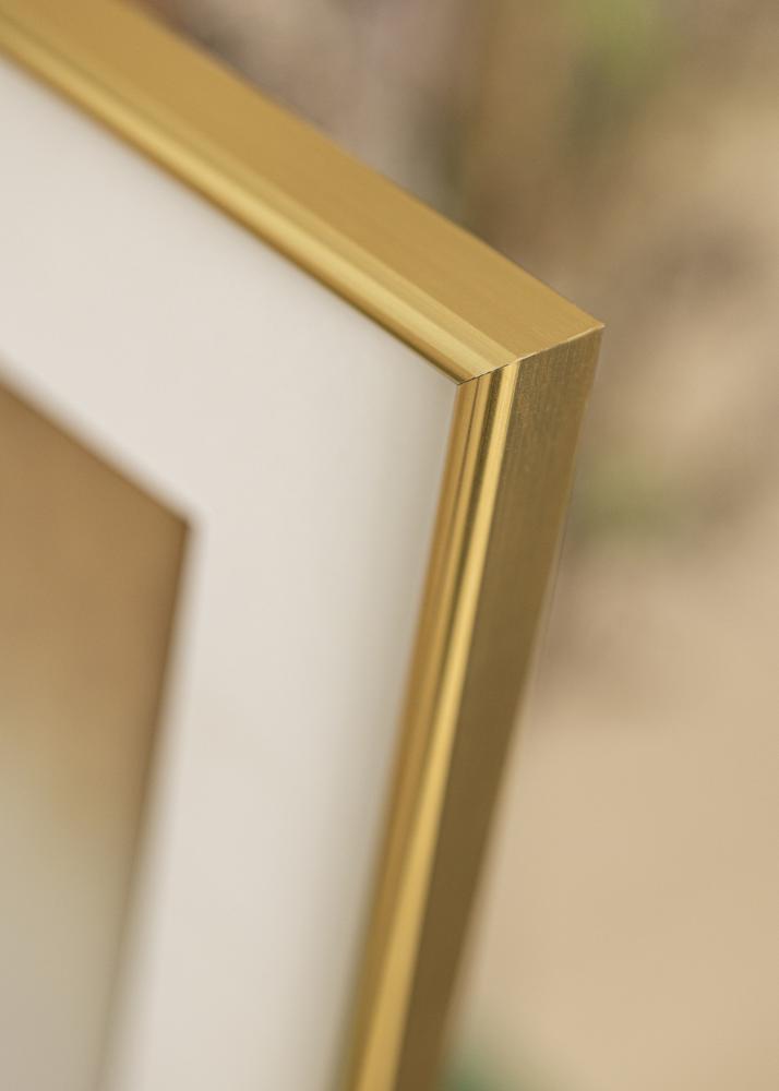 Walther Rahmen Galeria Gold 30x45 cm