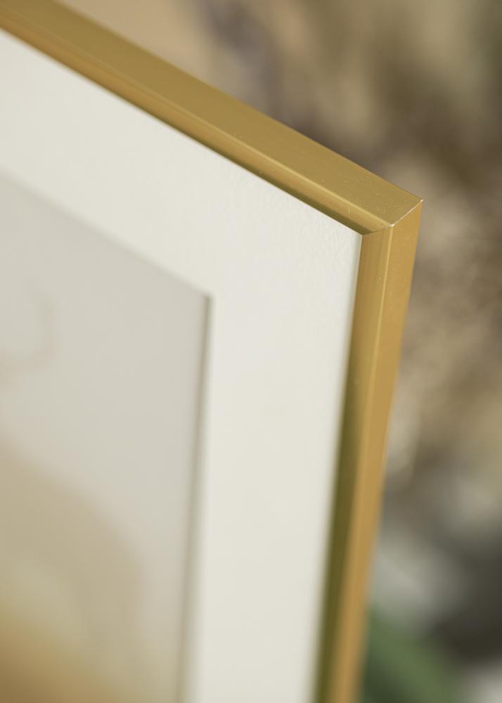 Walther Rahmen New Lifestyle Acrylglas Shiny Gold 50x70 cm