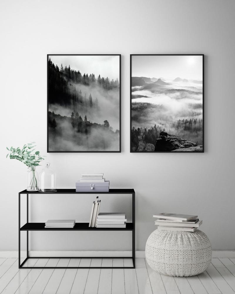 Estancia Foggy Forest Black & White II - 50x70 cm