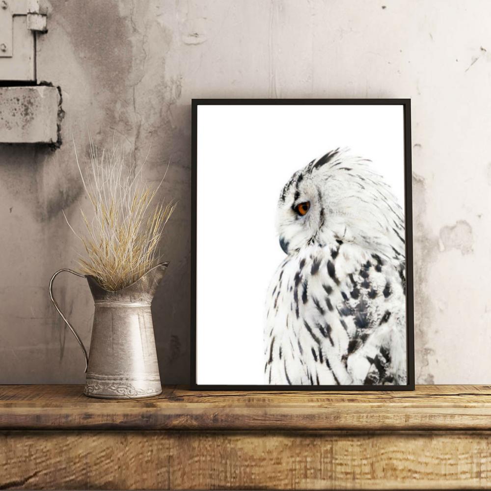 Estancia White Owl